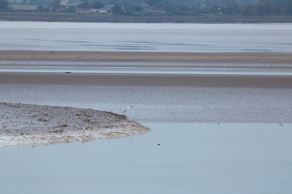 View: Severn Bore Safari - sold out!